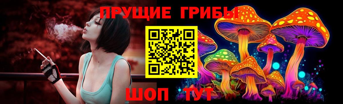 Владимир  Псилоцибиновые грибы Psilocybe  Вход с VPN  Псилоцибиновые грибы Psilocybine cubensis 